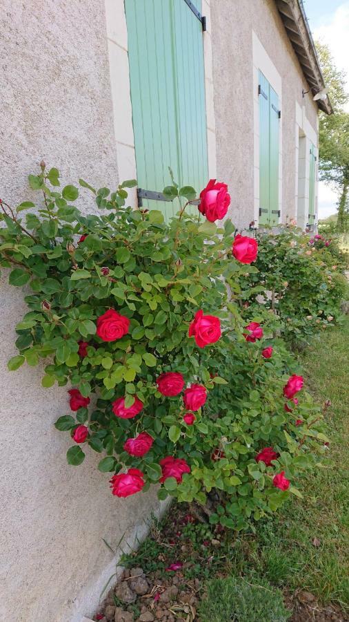Saint-Jean-Saint-Germain Longere Du Sud Touraine Au Coeur Du Val De Loireヴィラ エクステリア 写真