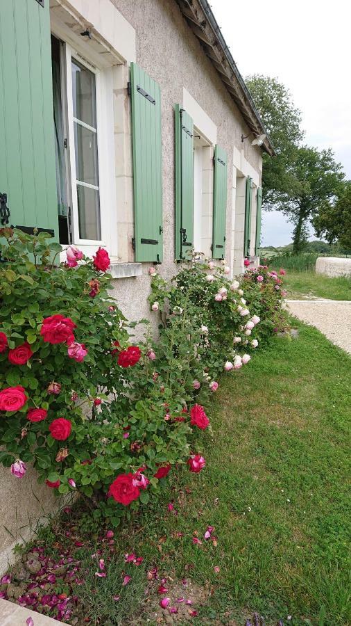 Saint-Jean-Saint-Germain Longere Du Sud Touraine Au Coeur Du Val De Loireヴィラ エクステリア 写真