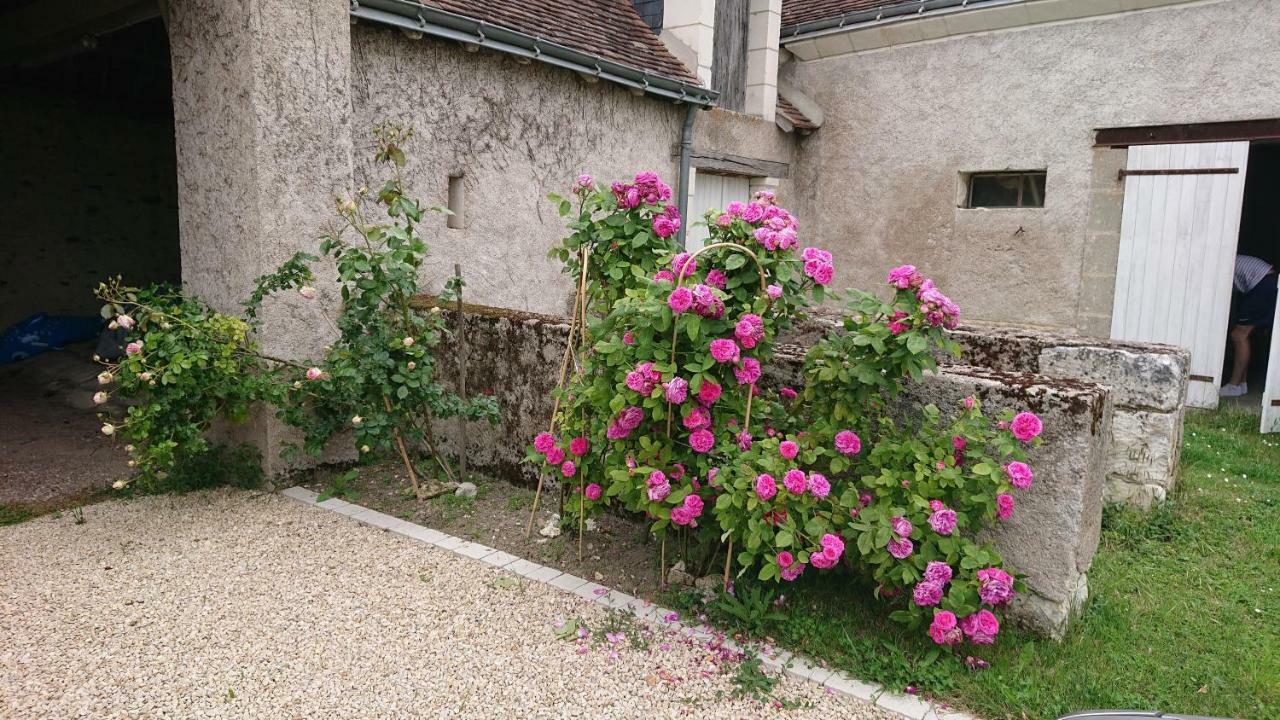 Saint-Jean-Saint-Germain Longere Du Sud Touraine Au Coeur Du Val De Loireヴィラ エクステリア 写真